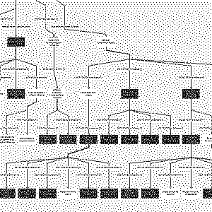 Small part of a hierarchical chart of a military command chain.